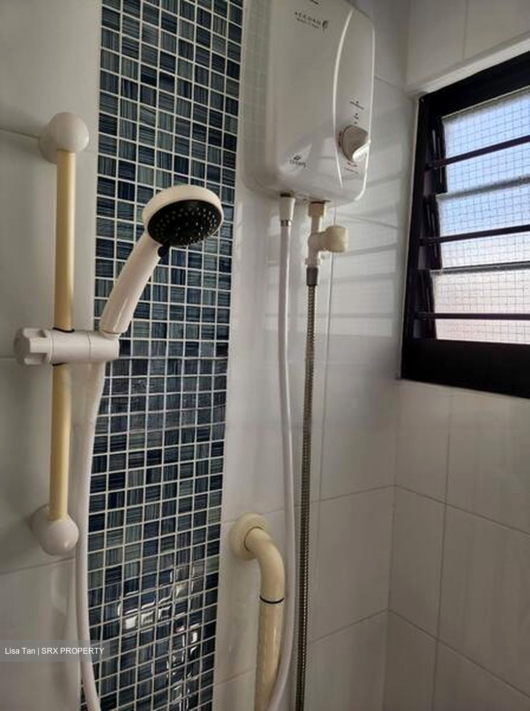 Blk 423 SUN PLAZA GARDENS (Tampines), HDB 4 Rooms #489968971